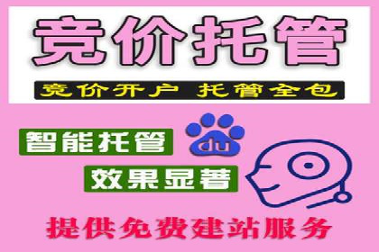 金融行业SEM推广的挑战与机遇
