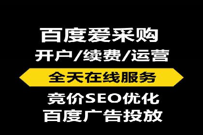 优化搜索流量：SEO技巧的多个成功案例